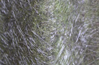 Llangeinor fibreglass roof work